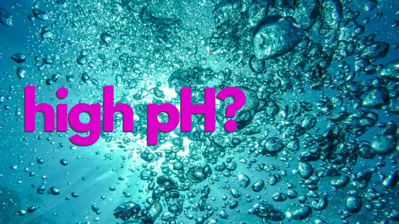 What Causes a High pH in a Swimming Pool?